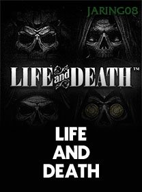 Life And Death game cover