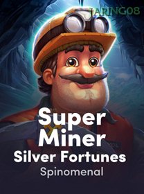 Super Miner   Silver Fortunes game cover