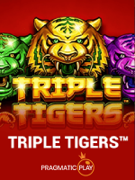 Triple Tigers Slot Terbaru: RTP dan Volatilitas Lengkap game cover